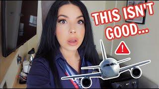 Flight Attendant Life - MAJOR GLOBAL TECH ISSUE GROUNDS PLANES & CANCELS FLIGHTS ️