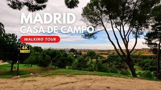 Madrid's Largest Urban Park With Stunning Panoramic View | Casa De Campo | 4K Autumn Walk