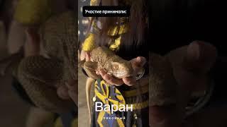 Восточная съемка от команды "Попасть в кадр"