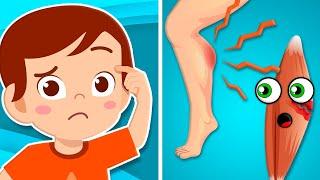 What Happens When You Pull A Muscle? | Human Body For Kids | KLT Anatomy