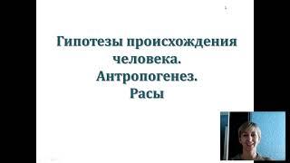 Гипотезы происхождения человека. Движущие силы антропогенеза