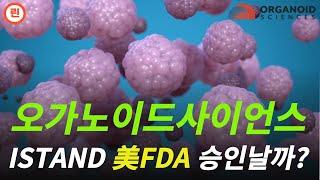 [오가노이드사이언스 분석] 이 하나로도 연매출 300억 가능한 사실 엄청난 호재랍니다.  #오가노이드사이언스