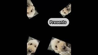 Cheetoski presents!!!