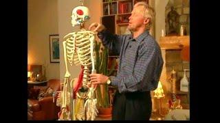 Shoulder, Arm & Hand Joint Mobilization...Erik Dalton