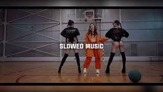 MIRUNA DIACONESCU x LELE x LIL CAGULA - ALO, FOLLOW (SLOWED & REVERB) 2023