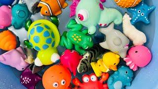 Learn Sea Animal Names | Sea Animals for Kids | Sea Creatures for Kids | Sea Animal Toys, Shark toys