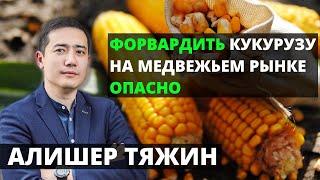 Антилогика на зерновом рынке. Что делать? | Кусто Агро | Latifundist