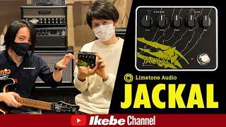 新製品JACKALをLimetone Audio今西勇仁さんと一緒に弾き倒しました！