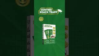 Gumtree Roach Trapp || Easy and Healthy Way to Control Cockroaches || #diycockroachcontrol