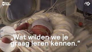 De twee kanten van Neonatologie | Kruispunt