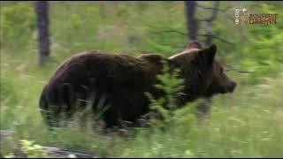 Unique nature of Russia