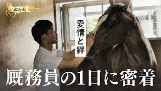 JRA70周年特番【YELL～馬とカケルミライ～】②栗東トレセンの厩務員の1日に密着！