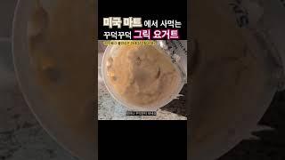 미국마트 그릭요거트 추천템 | The Best Greek Yogurt | #미국일상 #브이로그 는 “미국언니 에린”