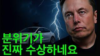 테슬라 로보택시 임박? 웨드부시 충격 발언, 주가 과연 살아남을까?