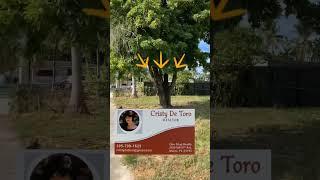 Amazing For Sale  305-799-1629 Cristy De Toro REALTOR #buy #miami #landforsale