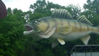 Big Fish! Muskie & Walleye!-1/1