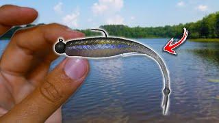 Fishing with the HOTTEST Lure in Bass Fishing!