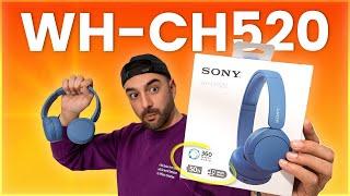 Sony WH-CH520 Review - Big Sound, Small Price!