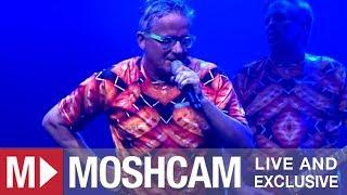 Devo - Gut Feeling/Slap Your Mammy | Live in Santa Ana | Moshcam