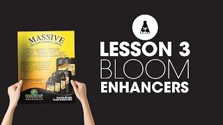 What Are Bloom Enhancers? - Lesson 3