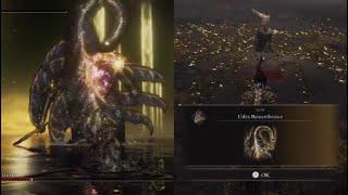 Elden Ring DW Frost Estocs Vs Final Boss