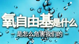 体内氧自由基太多的危害 | 抗氧化能力超强的十大食物【十大生活知识】