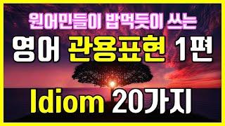 학교에서도 안알랴주는 미국 원어민 영어 관용표현 1편 idiom part 1