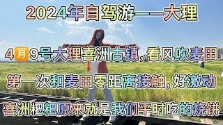 2024年自驾游，4???9号大理喜洲古镇，第一次和麦田零距离接触