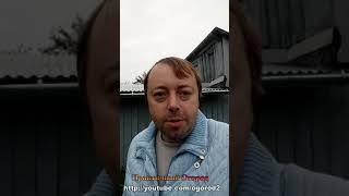 Помидоры не сажайте! Есть лучше вариант!