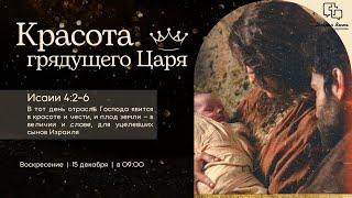 Недільне Зібрання: Дьяченко Михаил: Красота грядущего Царя - 15.12.2024