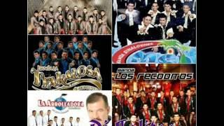 La Arrolladora, Banda Ms, La Carnaval, La Trakalosa Mix