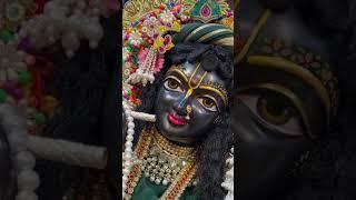 #viral and trending song Jay Shri Radhe Radhe ️️ #song