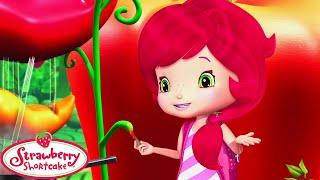 Berry Bitty Adventures  Hot Sauce Cook Off  Strawberry Shortcake  Kids movies