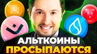 Я Покупаю Эти Альткоины Перед Масштабным Ростом! Криптовалюта прогноз 2024