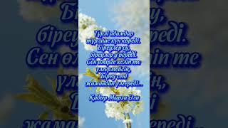 Нақыл сөздер. #нақылсөздер #нақыл #аудиокітап