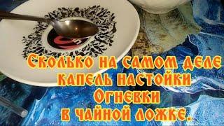 Сколько на самом деле капель настойки Огневки в чайной ложке.