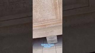Марк Аврелий и его коробка #shortsclip #shortscraft #youtube #youtuber #subscribe #юмор #гид #турция