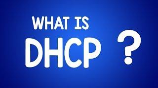 What Is DHCP? How To Make Your Network Sleek And Beautiful