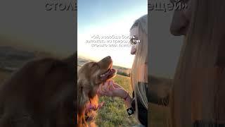 Спрей на каждый день WB:219503886 Спрей от блох и клещей 