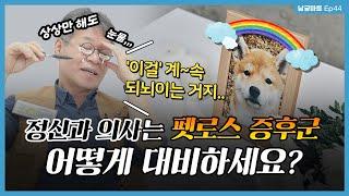 13살 노견 키우는 '정신과 의사'는 펫로스 증후군을 어떻게 이겨낼까? - [남궁마트 EP45]