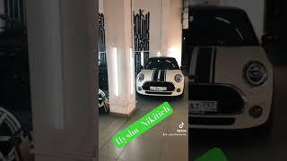 #ilysha_Nikitich