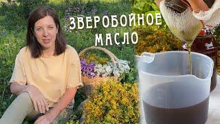 Зверобойное масло - изготовление