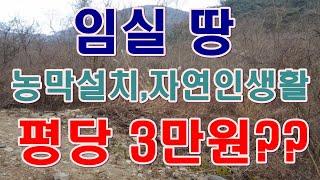[부동산 경매물건] 전북 임실군 강진면 땅!! 한적한 곳에 농막, 주말농장 즐겨볼까요??^^