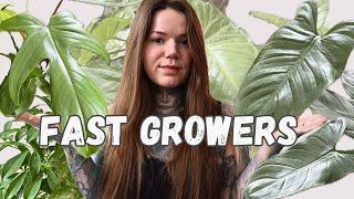 FAST GROWING HOUSEPLANTS. Easy Fastest Growing Indoor Plants!