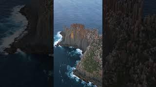 You won’t believe what we saw at the most SOUTHERN POINT!