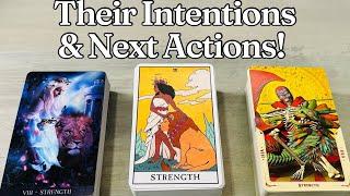 Their Intentions and NEXT Actions!! Detailed Love Pick A Card Timeless Tarot Reading