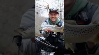 STREAMER BROWN TROUT! #flyfishing #shorts #fishing