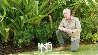 Love your lawn with Seasol for Lush Green Lawns - Nigel Ruck The Garden Gurus