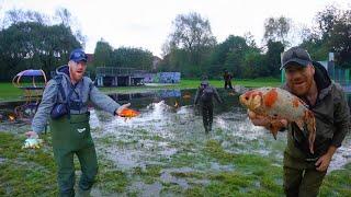 The Puddles Were Full of Priceless FISH! After Storm Babet! (Fish Rescue)