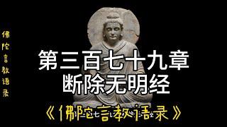 379.第三百七十九章 断除无明经《佛陀言教语录》